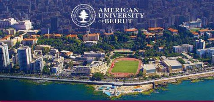 American University of Beirut Faculty of Medicine