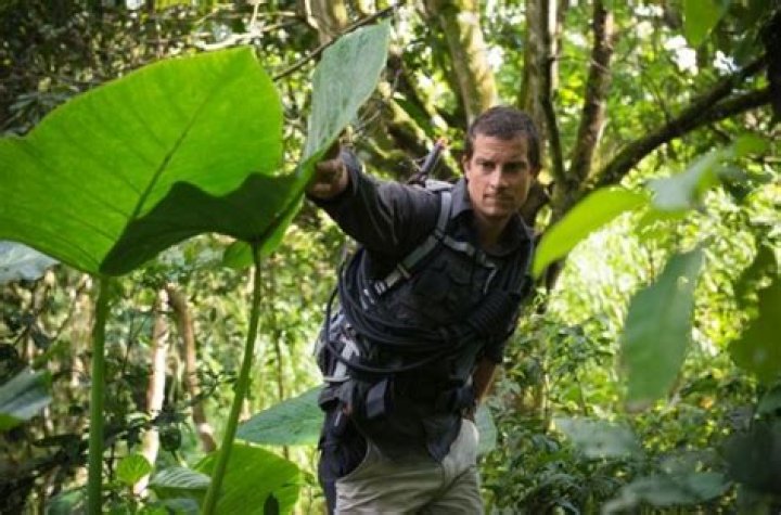 Bear Grylls