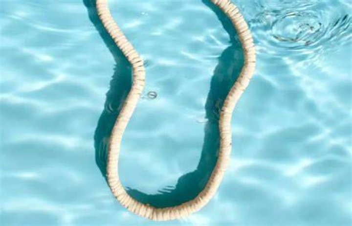 Can shell necklaces get wet?