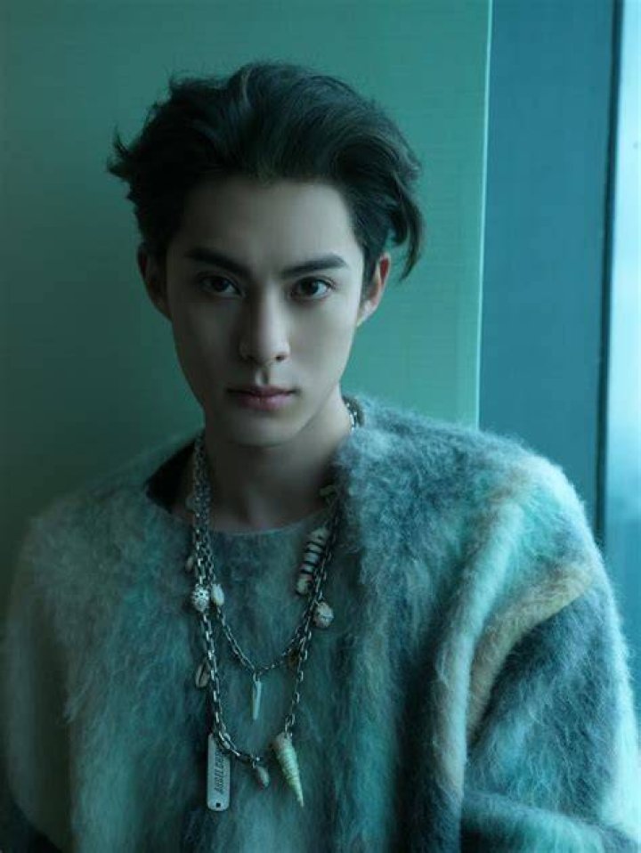 Dylan Wang Biography