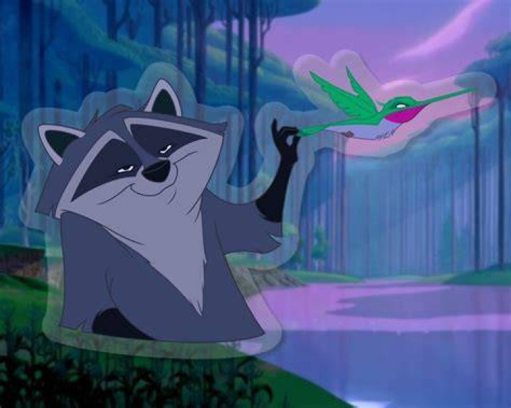 Is Meeko a girl?