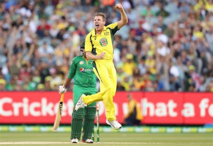 James Faulkner Net Worth