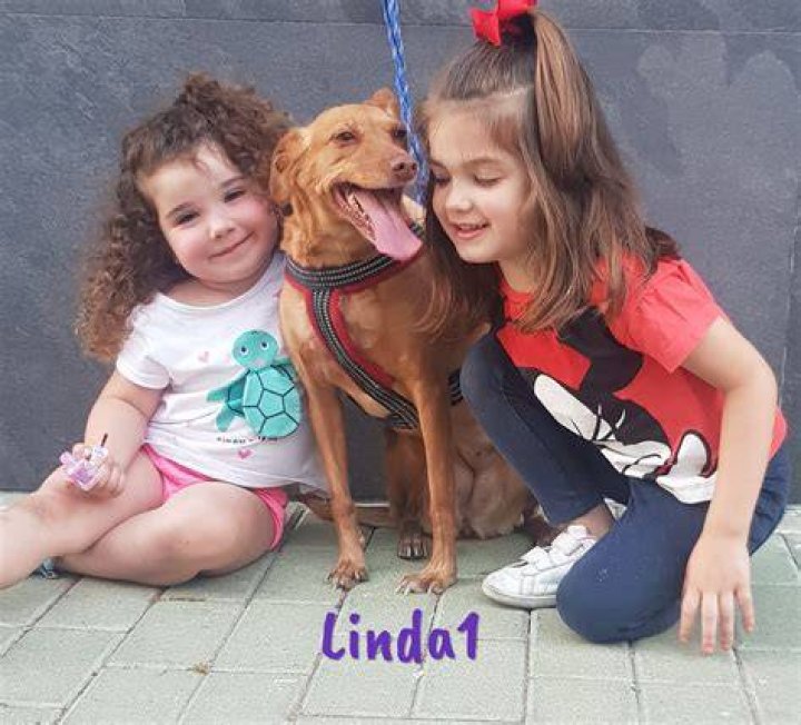 linda1