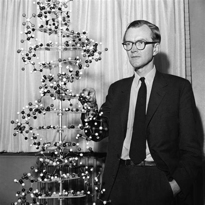 Maurice Wilkins Biography