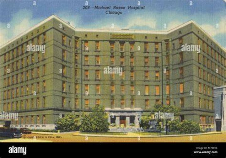 Michael Reese Hospital and Medical Center