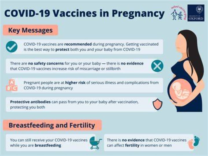 Mild Covid During Pregnancy Does Not Slow Brain Development in Babies: Study