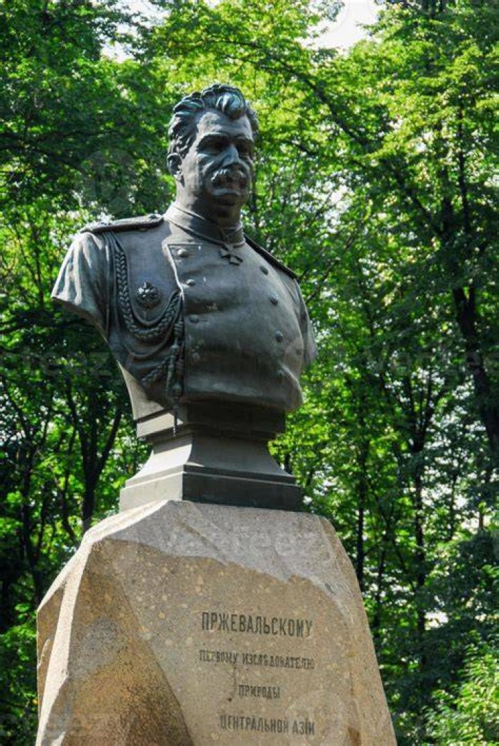 Nikolay Przhevalsky Nikolay Przhevalsky