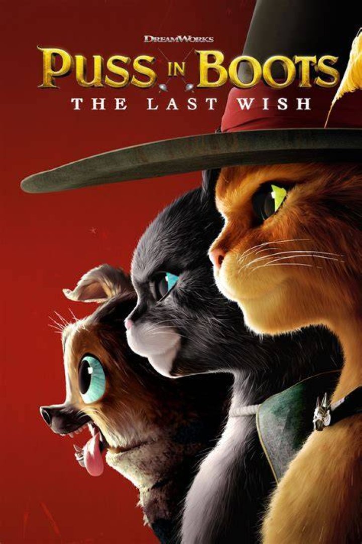 Puss in Boots The Last Wish Sword