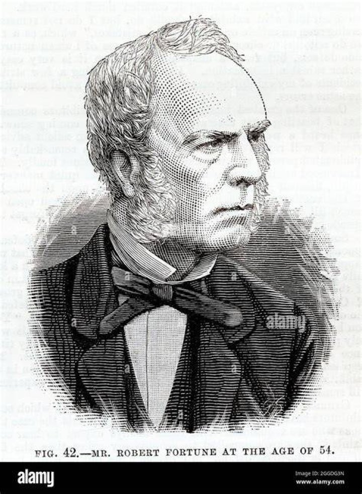 Robert Fortune
