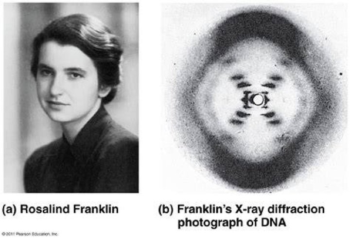 Rosalind Franklin Rosalind Franklin