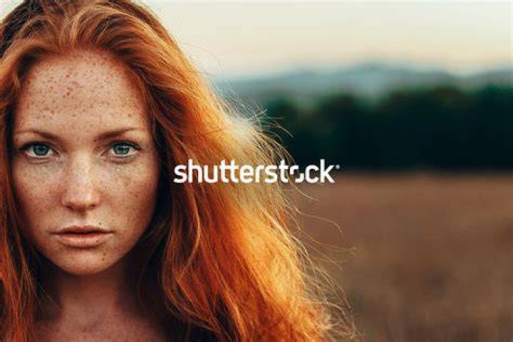 Who is Nick Nolte wife Rebecca Linger? 1 Shutterstock 195188h