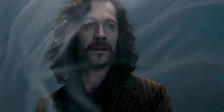 Sirius Black falls into the veil in Harry Potter and the Order of Phoenix