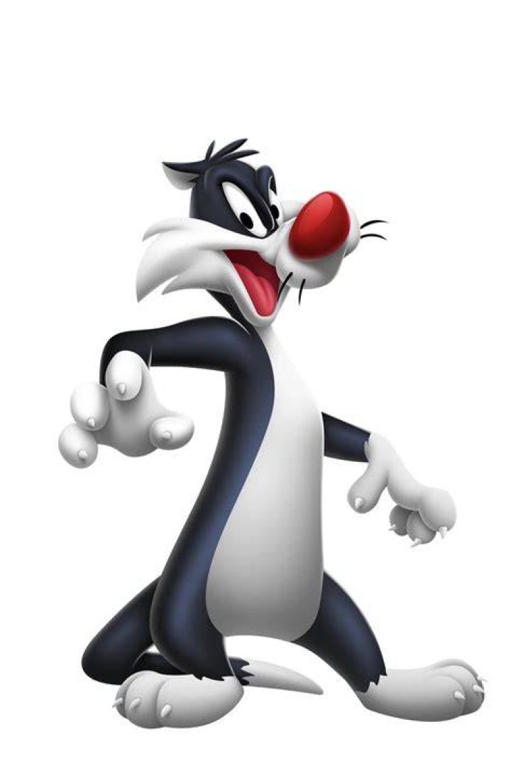 Sylvester Sylvester