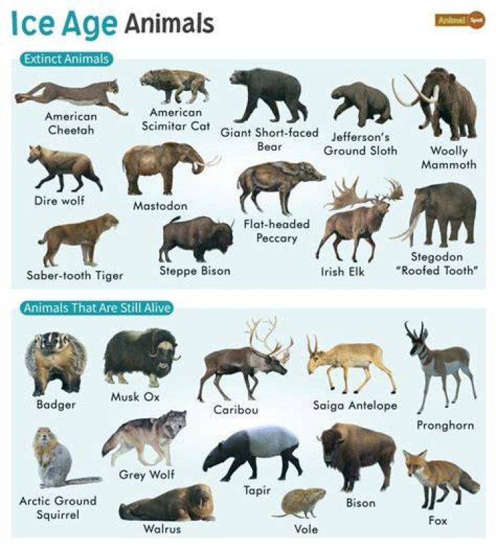 The animals of Ice Age are looking down at something off-screen.