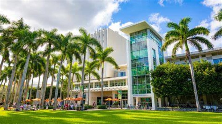 University of Miami Undergraduate