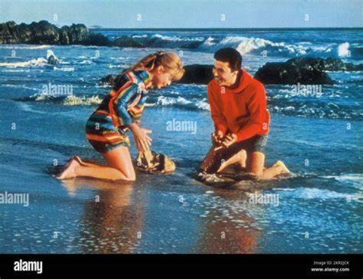 Was Deborah Walley a Gidget?