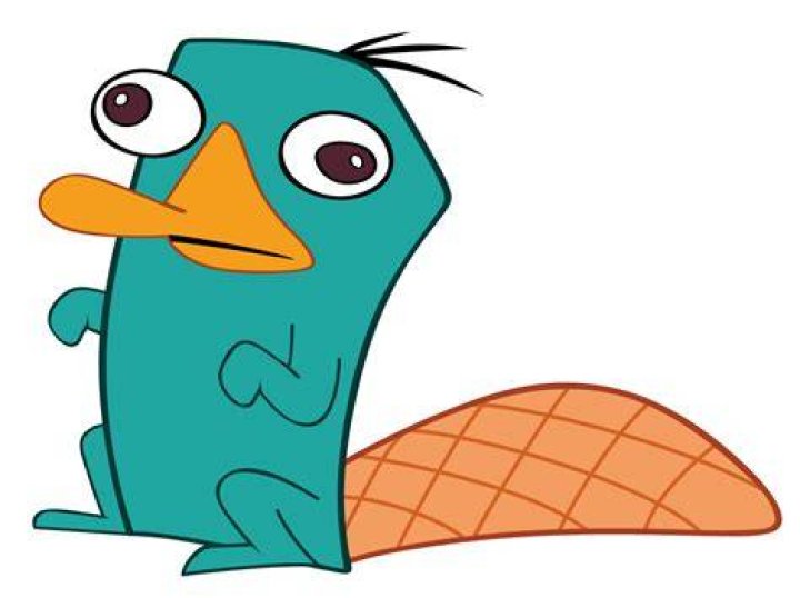 Was Perry the Platypus a girl?