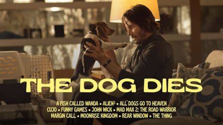 Which dog dies in 8 below?