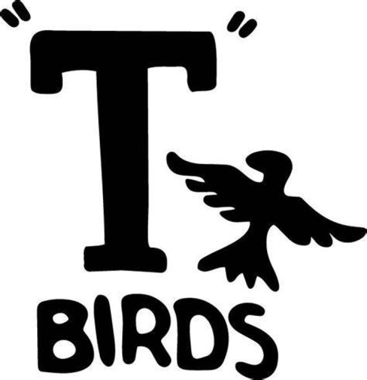 Who are the T Birds Grease?
